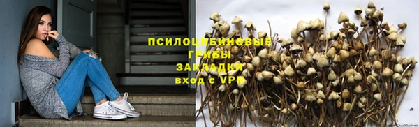 не бодяженный Вяземский