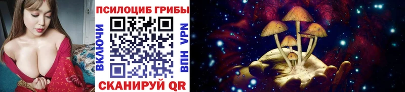 Галлюциногенные грибы мицелий  купить закладку  Каспийск 